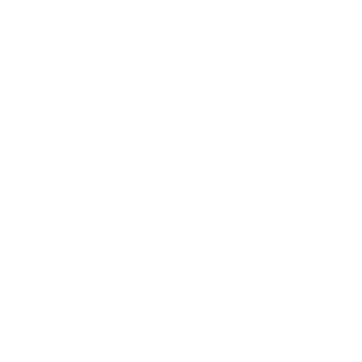 adeo-services Logo